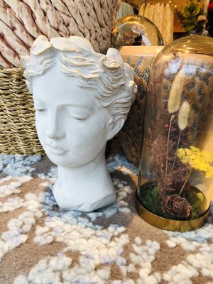 Anthropologie by null