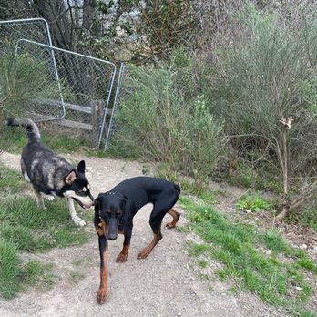 Crestview Park - Come on bud let's walk this trail. - Parks Near Me - Tukwila, Washington Crestview Park - Come on bud let's walk this trail. - Parks Near Me - Tukwila, Washington
