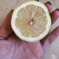 Dollar General Market - Brown inside not fresh fruit sold at top price here 55 cents each lemon.