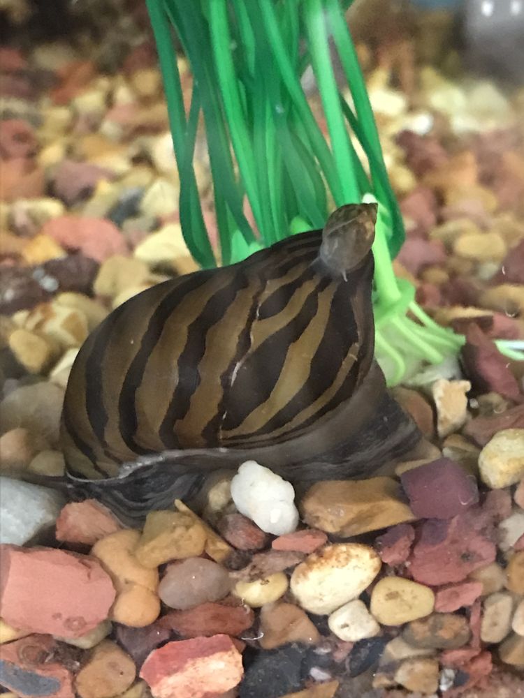 PARKLAND PET CARE Updated June 2024 15 Photos Spruce Grove