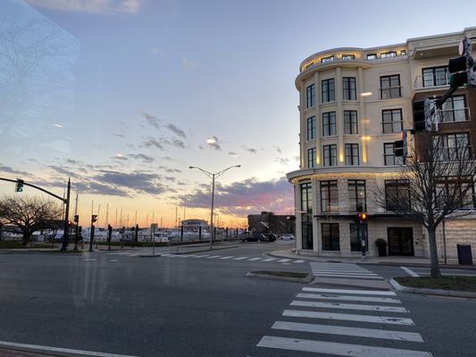 Mother Pizzeria by null