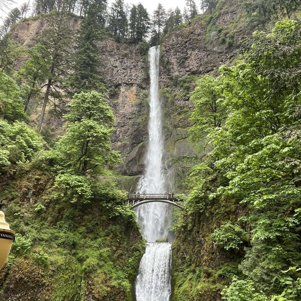 Multnomah Falls - Money shot! - Hiking Near Me - Bridal Veil, Oregon Multnomah Falls - Money shot! - Hiking Near Me - Bridal Veil, Oregon