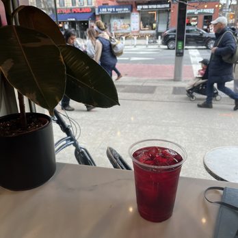 PlantShed - Coffee & Tea Near Me - New York, New York PlantShed - Coffee & Tea Near Me - New York, New York