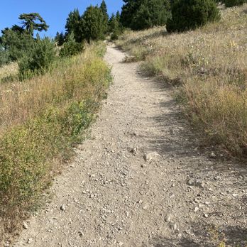 College M - Trail pathway - Hiking Near Me - Bozeman, Montana College M - Trail pathway - Hiking Near Me - Bozeman, Montana