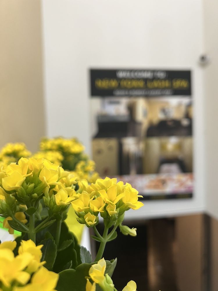 SPRING BEAUTY SOHO SPA EVIVE SOHO SPA Updated October 2024 84