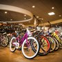 Photo of Wheelies Bike Shop