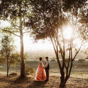 The Hendrys - Event Photography Near Me - Sebastopol, California
