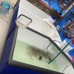 Jays Marine - We have all types of live bait come check us out