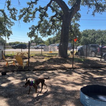 The Watering Bowl - Shy and Small Dog Zone - Dog Parks Near Me - Austin, Texas The Watering Bowl - Shy and Small Dog Zone - Dog Parks Near Me - Austin, Texas