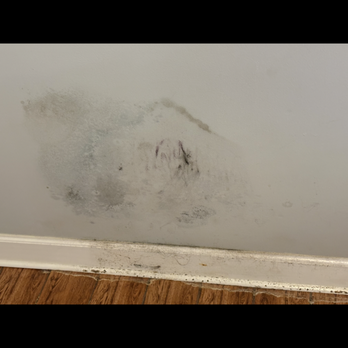 CB Plumbing Services - Mold and water - Plumbing Near Me - Merritt Island, Florida CB Plumbing Services - Mold and water - Plumbing Near Me - Merritt Island, Florida