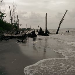 Further on down the beach of stump pass park. Further on down the beach of stump pass park.