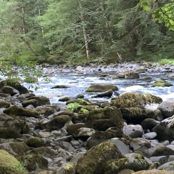 Old Salmon River Trail - Old Salmon River Up Stream View. - Hiking Near Me - Clackamas, Oregon