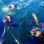 Photo of Jolly Roger Dive Charters