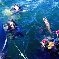 Jolly Roger Dive Charters