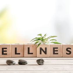 Alternative Wellness & Primary Care