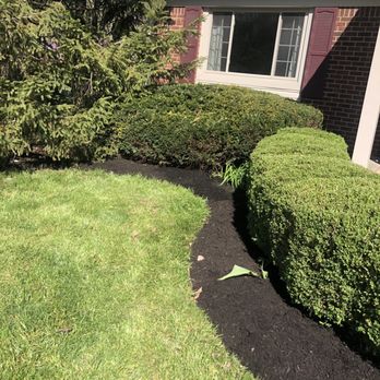 Zeigler Services - Spring clean up - Landscaping Near Me Zeigler Services - Spring clean up - Landscaping Near Me