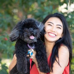 Dog Groomer Academy - Beautiful
