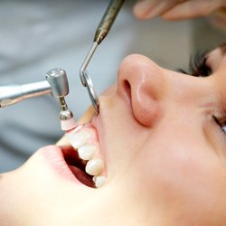 Eric Mehler, DDS
