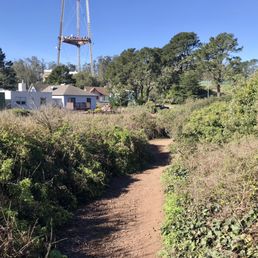 To Mount Sutro from Twin Peaks