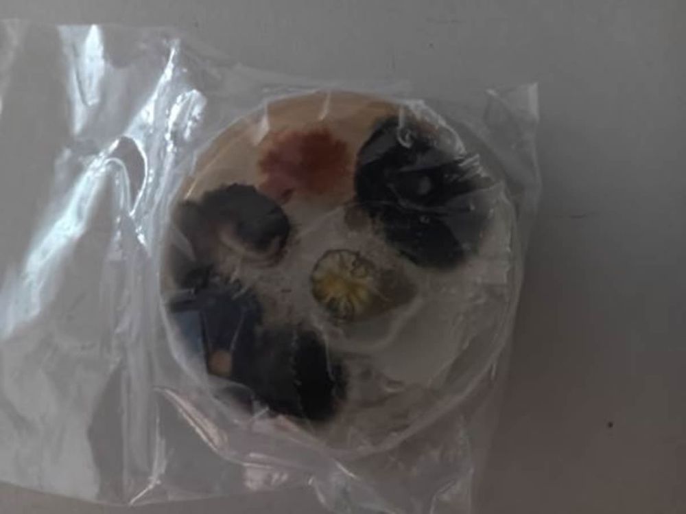 CFL Environmental Solutions - mold inspector in Daytona Beach, FL