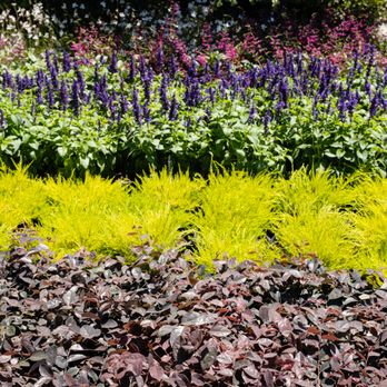 VN Nursery - Nurseries & Gardening Near Me - Reseda , California VN Nursery - Nurseries & Gardening Near Me - Reseda , California