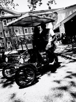 Blazing Saddles Bike Rentals & Tours by null