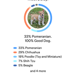 DNA results from Wisdom Panel DNA results from Wisdom Panel