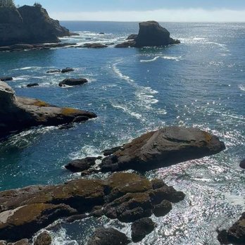 Cape Flattery - Rees's Roots - Cape Flattery Washington - Hiking Near Me - Neah Bay, Washington