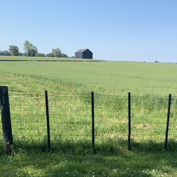 The Stave - The beautiful landscape on the way there - Southern Near Me - Frankfort, Kentucky The Stave - The beautiful landscape on the way there - Southern Near Me - Frankfort, Kentucky
