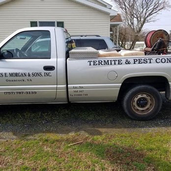 Charles E Morgan & Sons - Pest Control Near Me - Onancock, Virginia