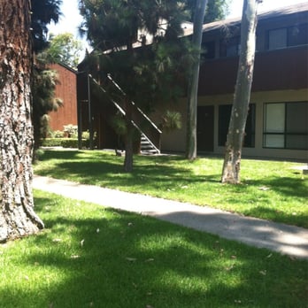 The Arbors - Tall trees and lush greenery between the E and O buildings - Apartments Near Me - Costa Mesa, California
