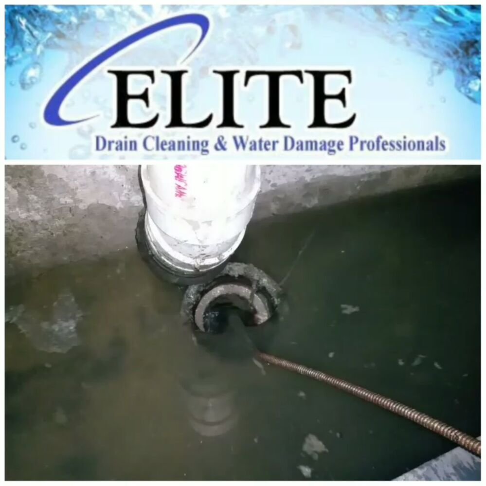 Slide of Elite Drain Cleaning & Water Damage Professionals