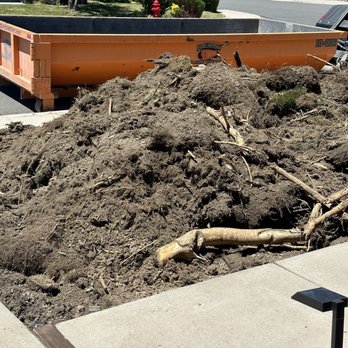 Reno Rock Transport - Look at those tree roots.. - Nurseries & Gardening Near Me - Reno, Nevada Reno Rock Transport - Look at those tree roots.. - Nurseries & Gardening Near Me - Reno, Nevada