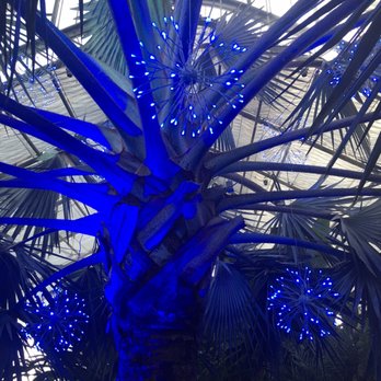 Lauritzen Gardens - Palms decorated for the holidays - Venues & Event Spaces Near Me - Omaha, Nebraska Lauritzen Gardens - Palms decorated for the holidays - Venues & Event Spaces Near Me - Omaha, Nebraska