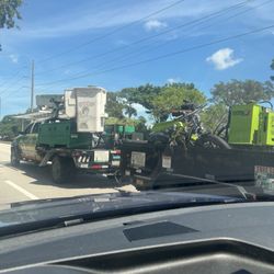 Palm Beach Tree Service - The truck