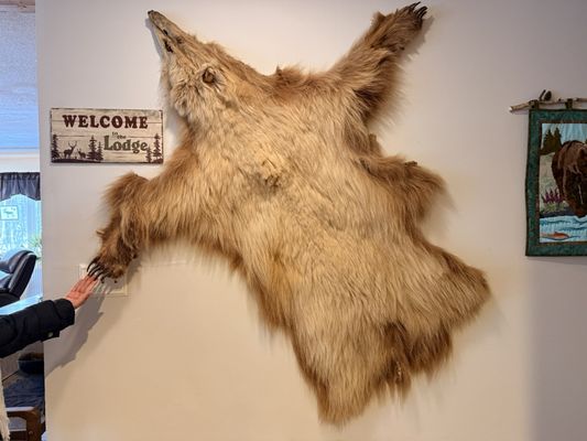 Alaska Grizzly Lodge by null