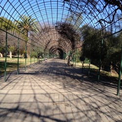 Parque Juan XXIII - El túnel. En verano y primavera se llena de ramitas y hojas.