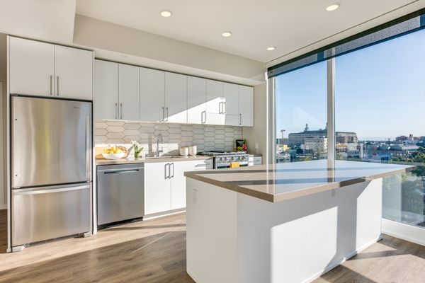1717 Webster by null