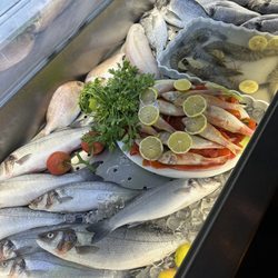 Murphy's Restaurant - Fish