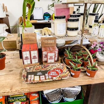Dig It Gardens - Front counter - Nurseries & Gardening Near Me - Phoenix, Arizona