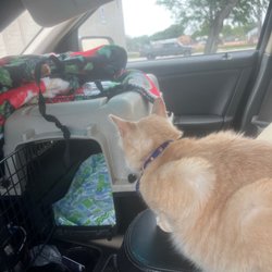 Baldwin & Crosstown Animal Clinic - waiting in the car for our turn