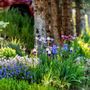 Photo of Sprinklers  & Landscaping