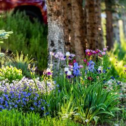 Sprinklers  & Landscaping