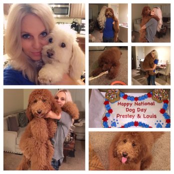 Dogs-N-Donuts - We celebrate our fur babies everyday but today was extra special . - Coffee & Tea Near Me - Tucson, Arizona Dogs-N-Donuts - We celebrate our fur babies everyday but today was extra special . - Coffee & Tea Near Me - Tucson, Arizona