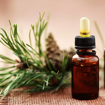 Golden Bough Botanicals - a bottle of essential oil next to a pine branch - Cosmetics & Beauty Supply Near Me - Delta, British Columbia Golden Bough Botanicals - a bottle of essential oil next to a pine branch - Cosmetics & Beauty Supply Near Me - Delta, British Columbia