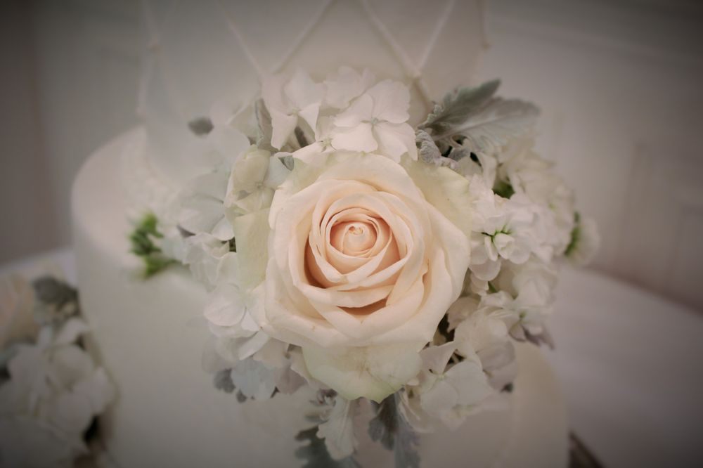 DEVINS FLOWERS Updated July 2024 19 Photos 1940 St Matthews Rd