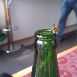 Ada Dönerinsel - Vorsicht im Sommer viele Wespen in der Luft.