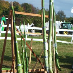 Giant Pumpkin Weigh Off - Weird gourd thingies
