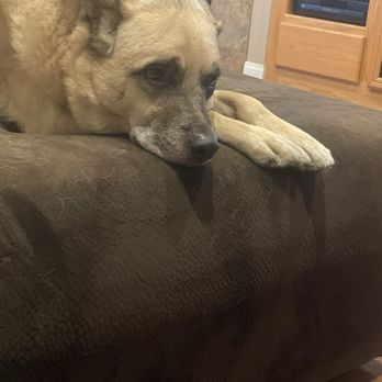 The Animal Keeper - Pet Sitting Near Me - Poway, California