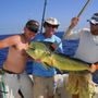 Photo of Dog House Charters